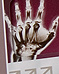 Save the Date, Invitation Brochure, Syllabus, and Monograph :: Client: Abbott Laboratories