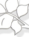Company Website :: Client: Discovery Institute of Medical Education (DIME)